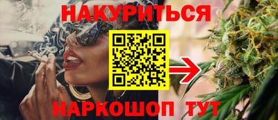 гашик Будённовск