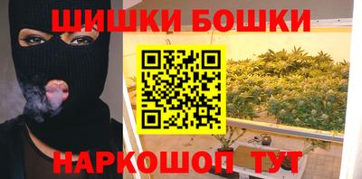 гашик Будённовск