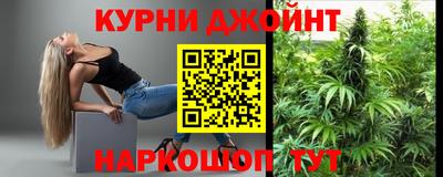 гашик Будённовск