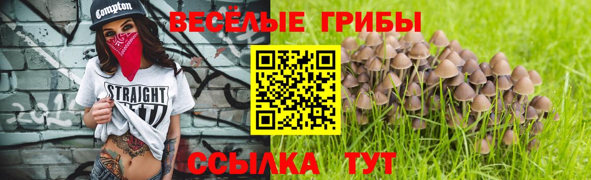 Галлюциногенные грибы мухоморы Нарткала